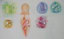 a_25.JPG